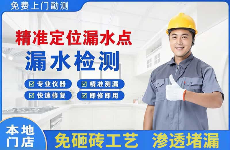 盘龙精准测漏点